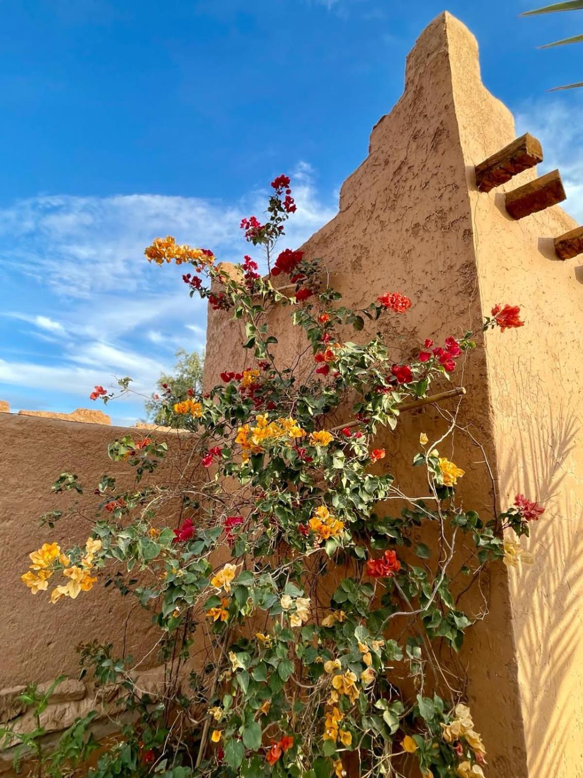 Auberge Kasbah Dar Sahara Tours M'Hamid Exterior photo